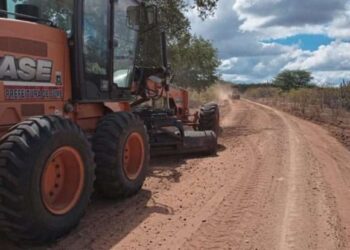 302069208 803106920724581 3065072906603464747 n 740x414 1 (1)