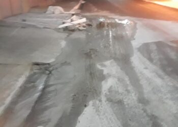 320223891 479561187619548 341452104956236908 n (1)