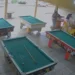 homem mata a tiros sete pessoas em bar de mt apos perder em jogo