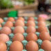bandeja de ovos
