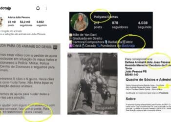 whatsapp image 2025 10 29 at 12.55.35 (1)