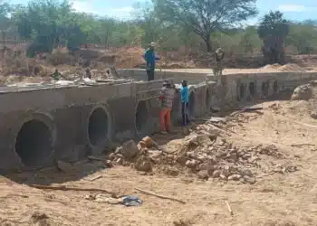 whatsapp image 2026 02 04 at 08.54.08